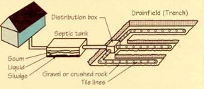 Septic System